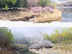 -大兴滨河森林公园