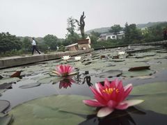 -白马涧龙池景区
