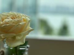-漾花汐·西餐·下午茶(苏州湾歌林公园店)
