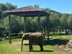 -哈尔滨北方森林动物园