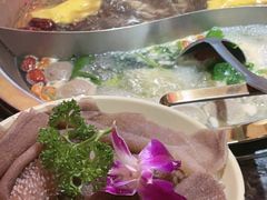 -蜀大侠火锅(森兰花园城店)