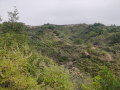 -蟠龙山长城景区