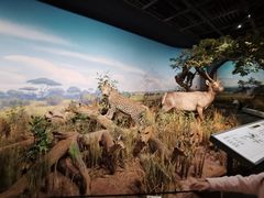 -陕西自然博物馆