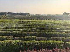 -凤凰沟景区