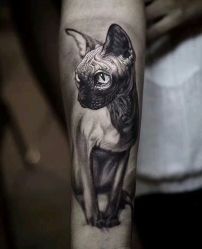 -Black Tattoo Studio