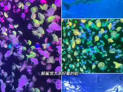 -珠海长隆海洋王国