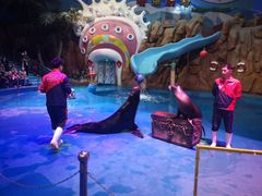 -烟台海昌鲸鲨海洋公园