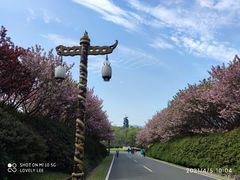 -宜兴龙背山森林公园