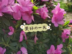 -九天休闲谷