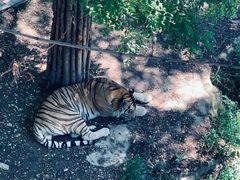 -大连森林动物园