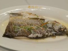 -金典银峰老鹅馆·昆山菜(亭林公园店)