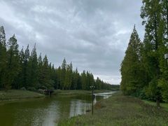 -黄海国家森林公园