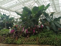 -石家庄市植物园