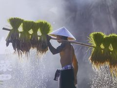 -七步香云南山里菜(昆明老街店)