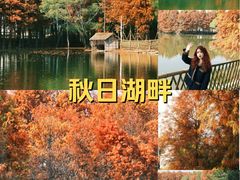 -厦门园林博览苑