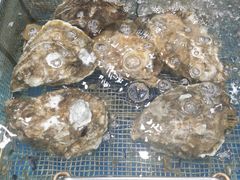 -抹直口特色菜馆(一店)