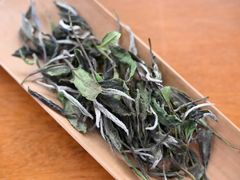 -沉瓯 福鼎白茶(洛川中路店)