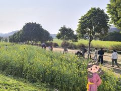-光明小镇欢乐田园