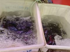 -金海椒罐罐鲢鱼(东方桂苑店)
