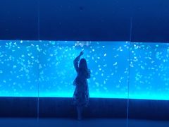 -多彩贵州城极地海洋世界