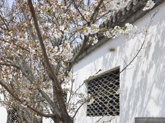 景观位-慢丽江·云南野生菌土鸡锅(西山店)