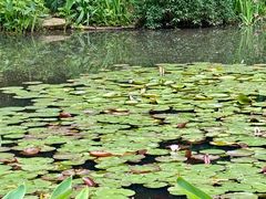 -杭州植物园