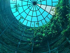 -西峡恐龙遗迹园