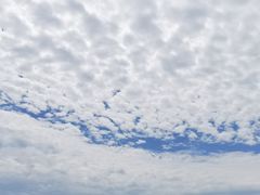 -泰山风景名胜区-虎山公园