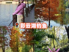 -重庆彩云湖湿地公园