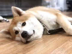 -YCHL Studios健身工作室(市二宫店)