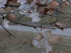 -江西阳明山国家森林公园