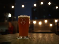 断片儿IPA-Arrow Factory Brewing箭厂啤酒