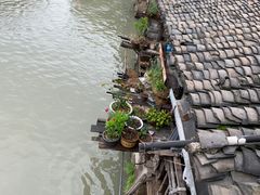 -乌镇东栅景区