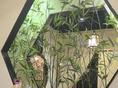 -泰山廊亦舫(丽景店)
