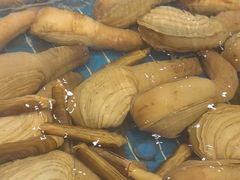 -新丁香海鲜酒店(银海商贸城店)