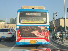 -坛宗剁椒鱼头(河西王府井店)