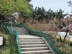 -乌山风景区