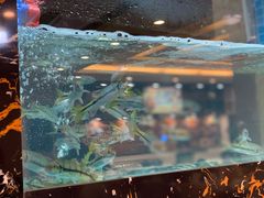 -浔味·山屿湖·正宗全鱼宴老字号