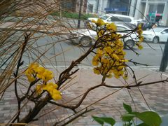 -LYFATTI 莱芙缇(赣水路店)