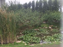 -秀丽东方