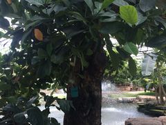 -南通洲际绿博园