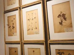 -花迹(富春江东街店)