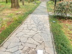 -东明山森林公园