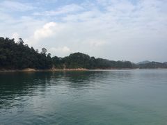 -广州市流溪河国家森林公园