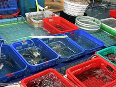 水产区-霞涌市场海鲜摆卖区