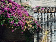 -黄埔古港