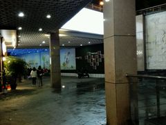 -紫荆广场·花漫里