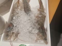 -曲氏老北京铜锅涮肉•火锅(不老街店)