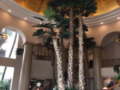 -圣爵菲斯大酒店(长沙世界之窗店)