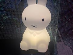 -汤姆熊欢乐世界(罗斯福店)